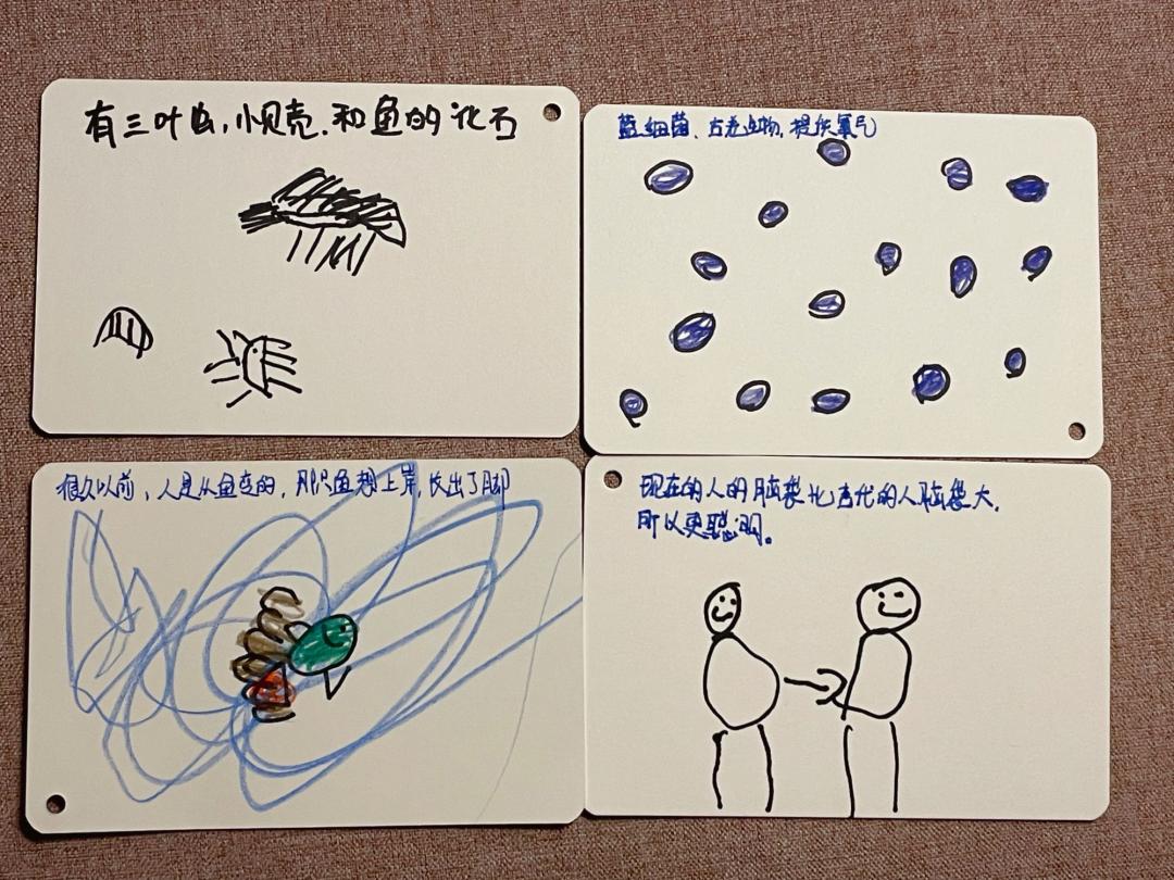 孩子经常提问我该怎么办,孩子问什么都不说怎么沟通