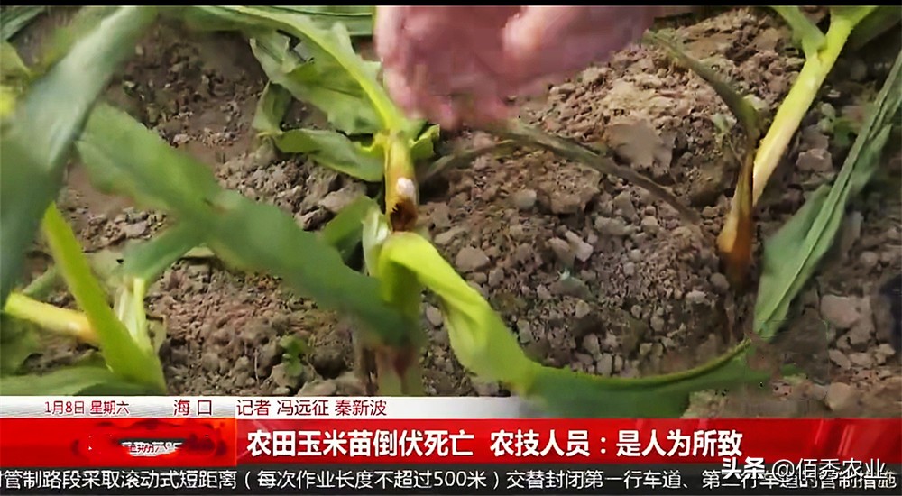 农作物被毁坏怎么解决,农作物被人破坏属于什么案件