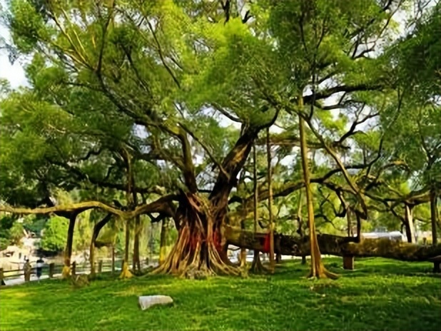 阳朔兴坪旅游景区介绍视频,阳朔老街附近旅游景区推荐