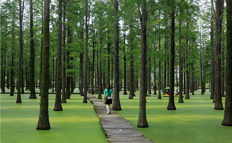 扬州最冷门老街,扬州旅游十大必去景点排行榜