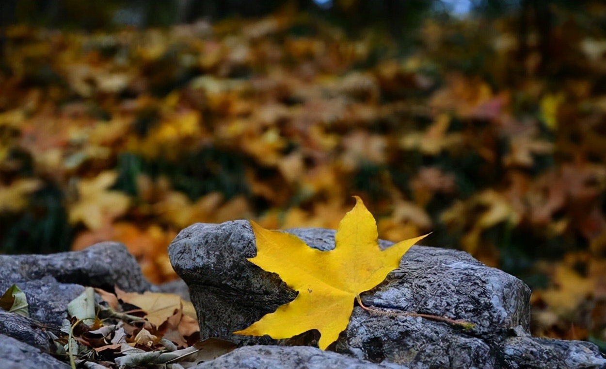40岁以后要对自己好点,40岁请善待自己
