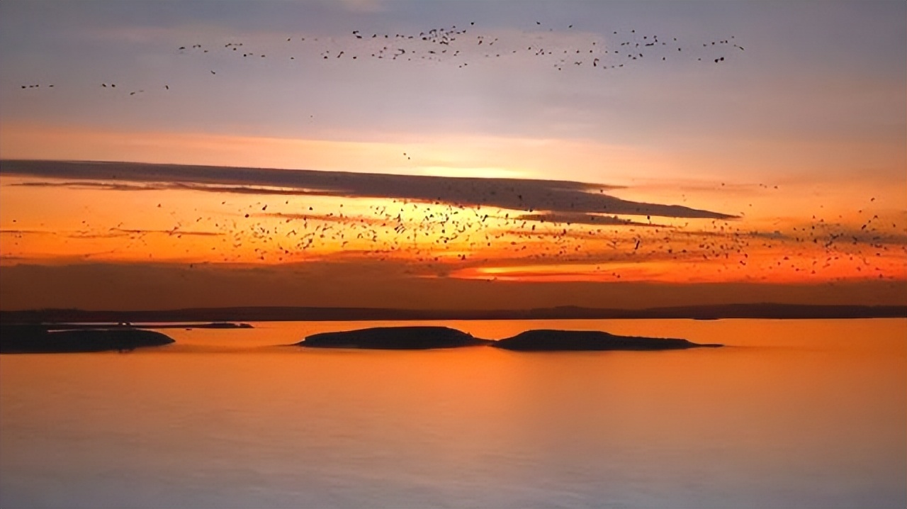 鬼谷子人与人相处计谋,鬼谷子处世谋略老实人