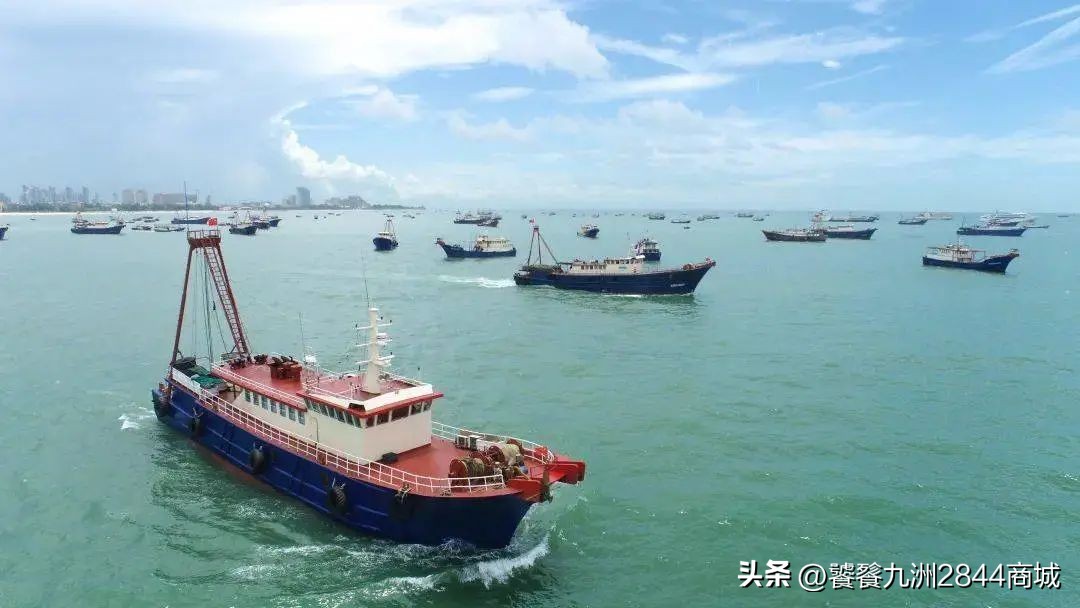 中国海鲜最好吃的城市排名前十,中国哪个城市海鲜最好吃排名