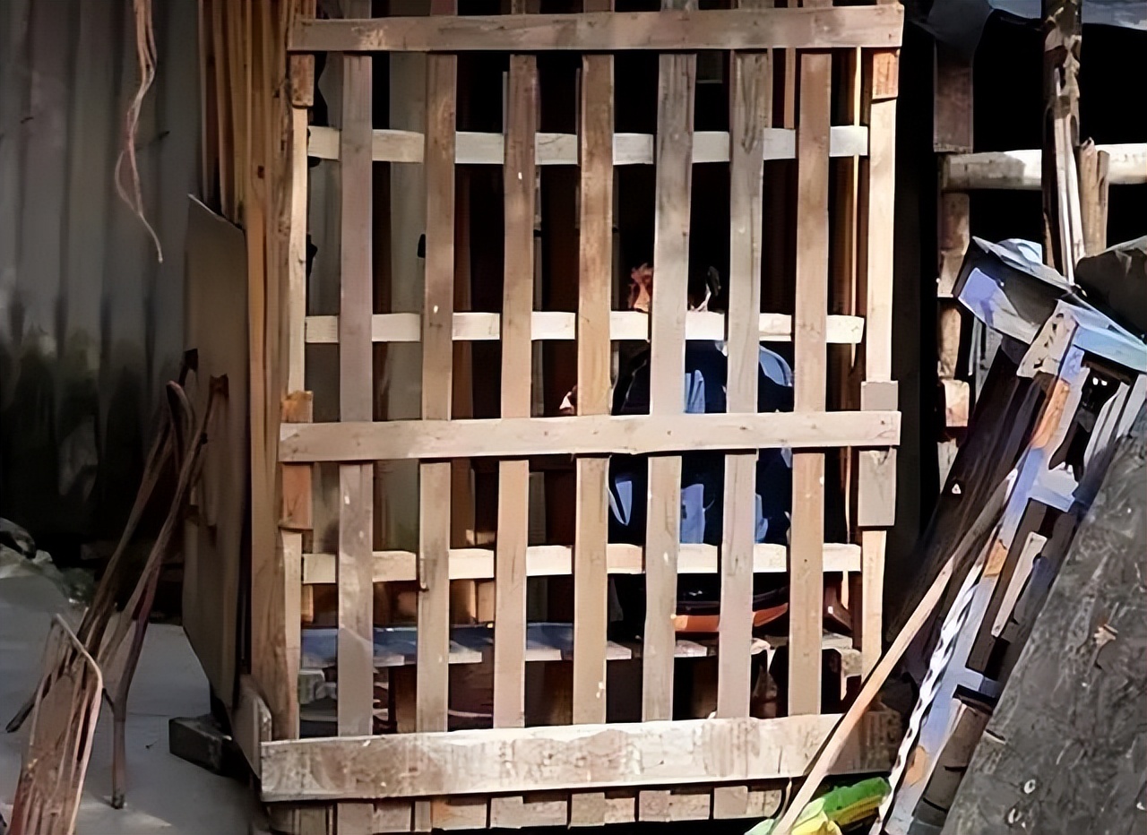 母亲把儿子关在小屋里23个月,母亲将儿子关笼子15年