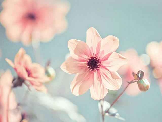 天蝎座男生谈恋爱不爱搭理女朋友,为什么和天蝎座表白后不搭理我了