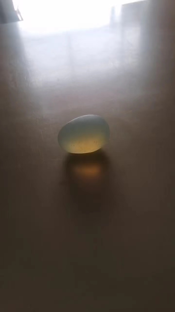 宝石欧泊石,变色龙宝石