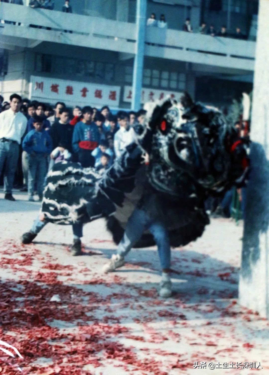 醒狮和瑞狮的区别在哪,醒狮的运动特点