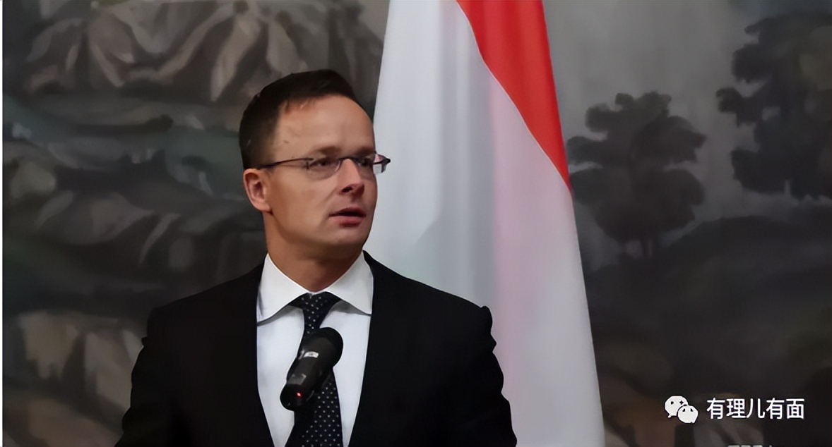 匈牙利国鸟大鸨鸟,匈牙利作为欧盟中的特立独行者