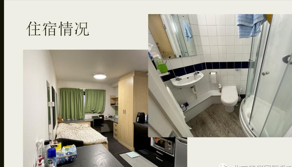 潞河国际2021届毕业生归来,带来最新留学经验分享