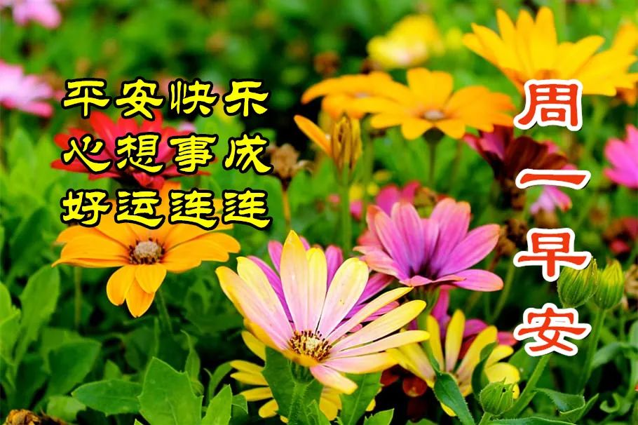 清晨开心幸福问候表情图片,早上好祝你天天开心表情图片