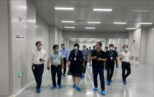 江阴张雷个人资产多少亿,无锡首富张雷