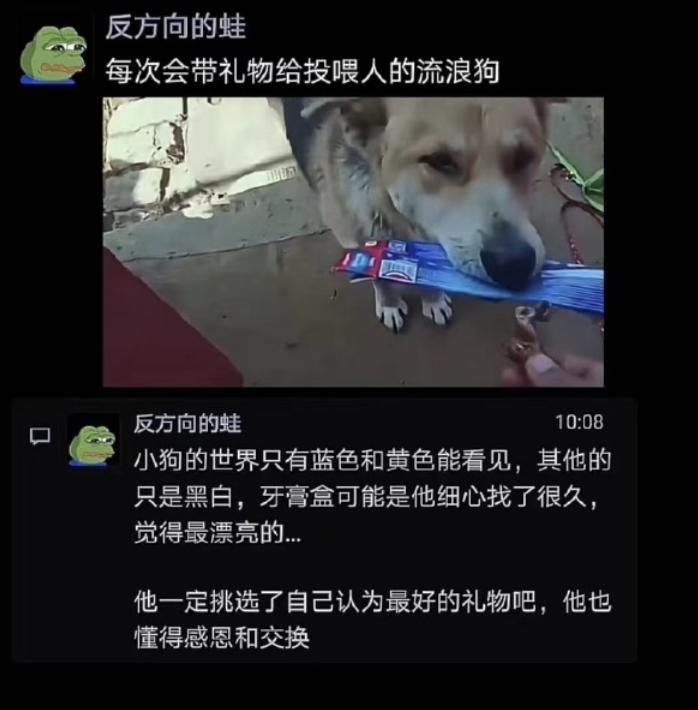 关于情人节的花式陷阱|冷段子2428去年今日2070