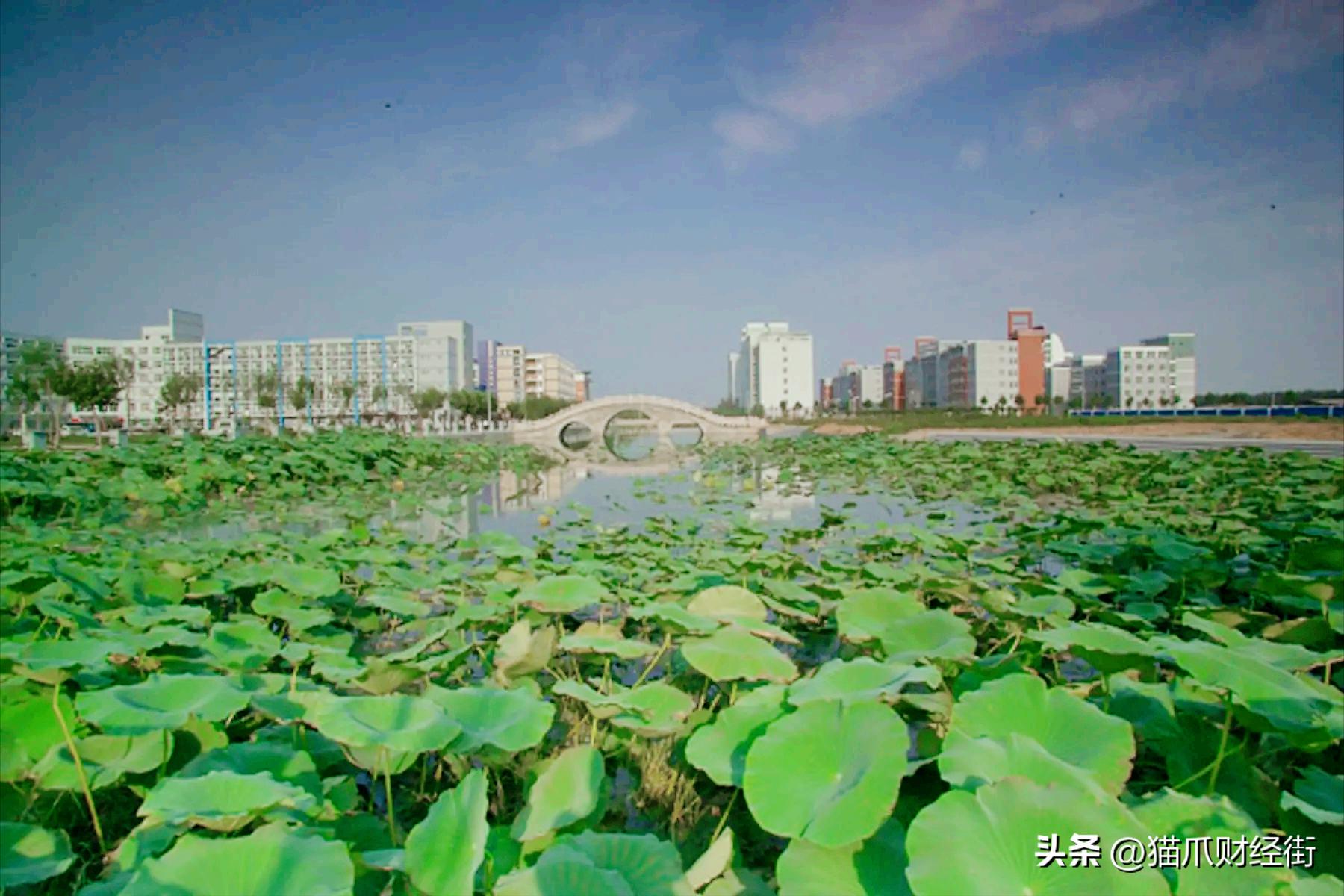 焦作师专专升本情况,焦作师专可以专升本