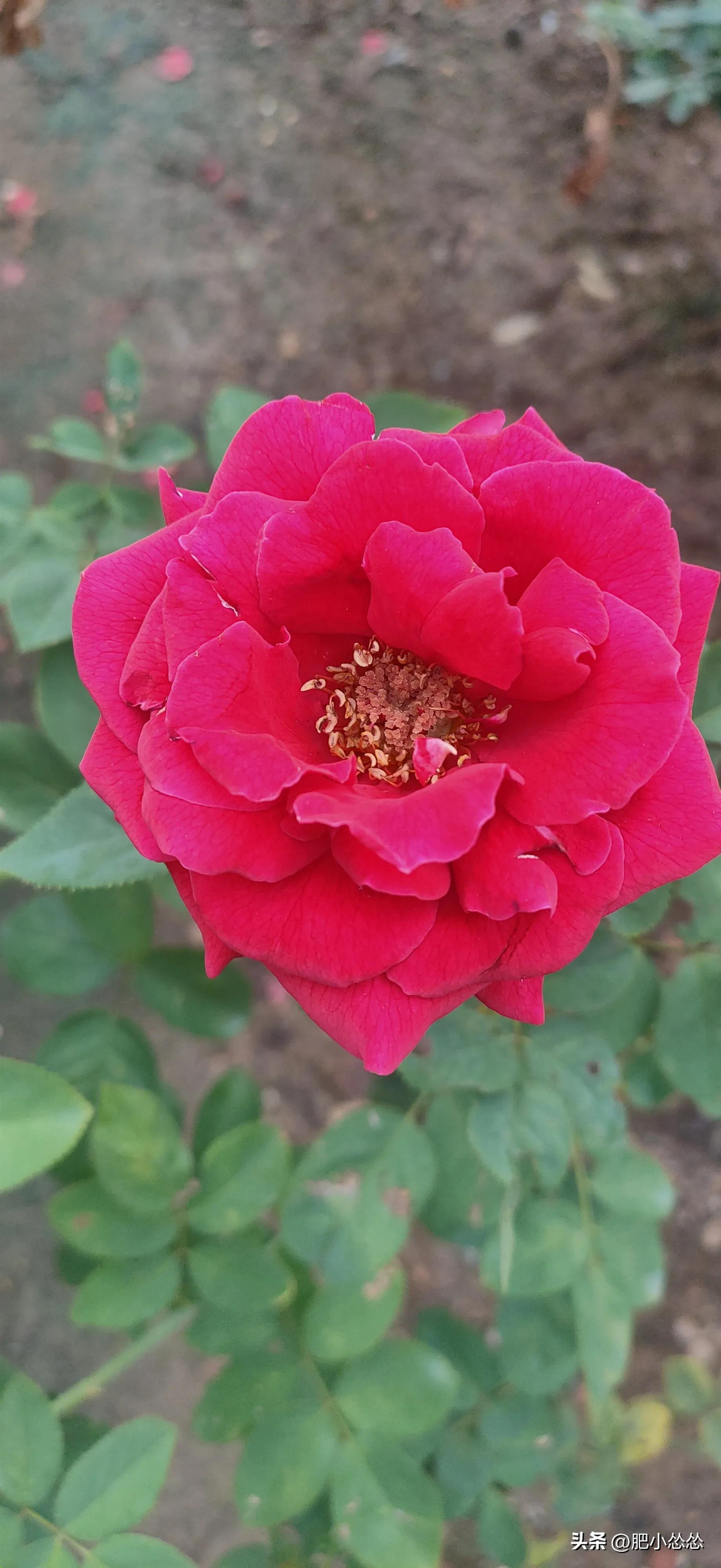 广州免费公园景点大全,广州石门公园门票价格