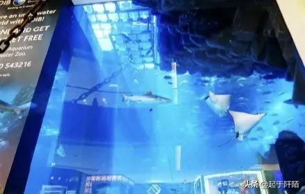 “迪拜”现状，带你看看真实的迪拜