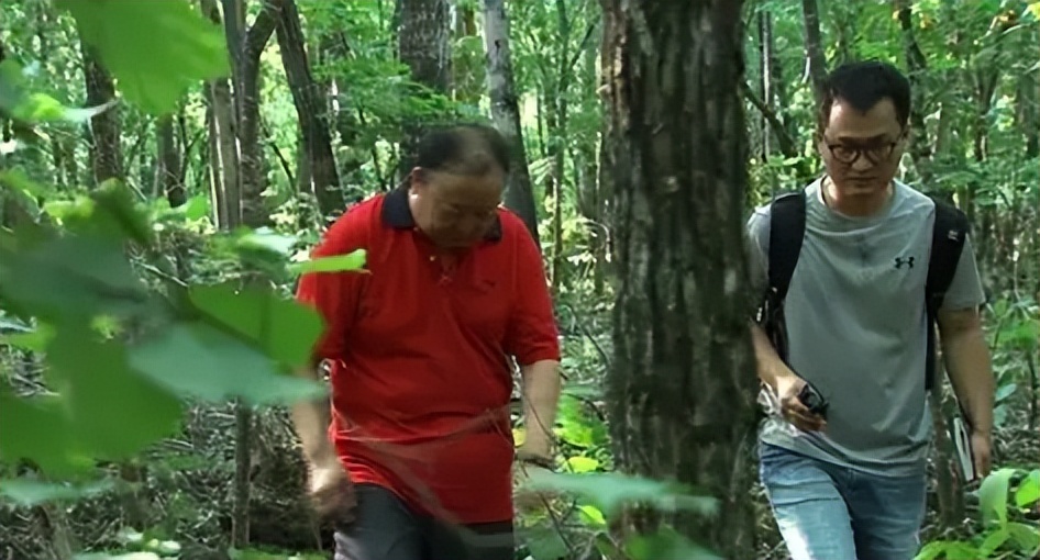 小伙子养猪年收入2000万,农村人靠养猪发家致富