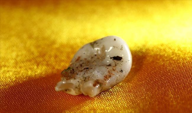 大爷挖出一个石头,老百姓挖到一块自然奇石有啥说法