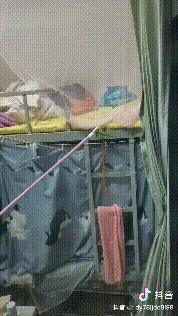 学校突然出现诡异的虫子,女生宿舍惊现不明虫