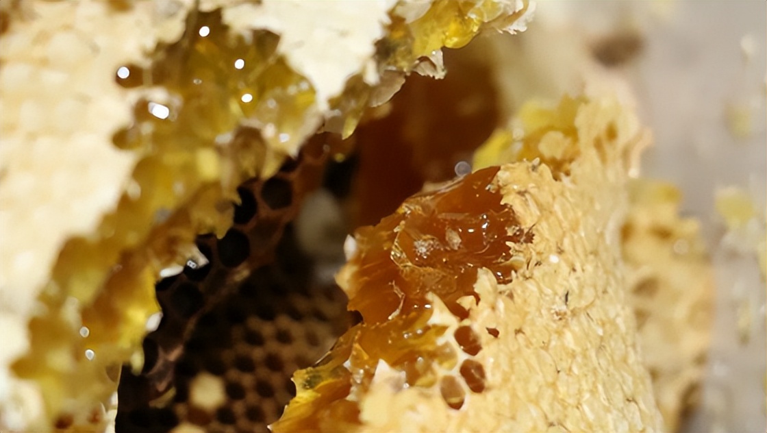 成都有哪些国家地理标志农产品,四川成都特色农产品