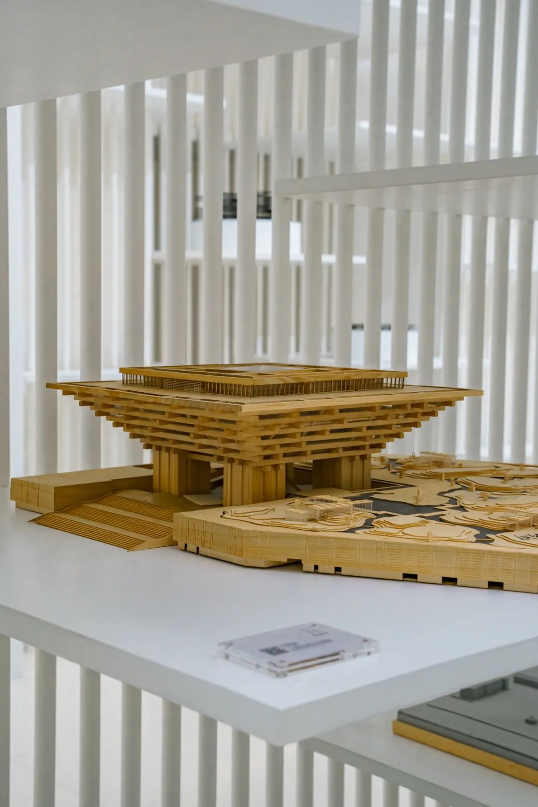 魔都自然博物馆,魔都的博物馆真的很有看头