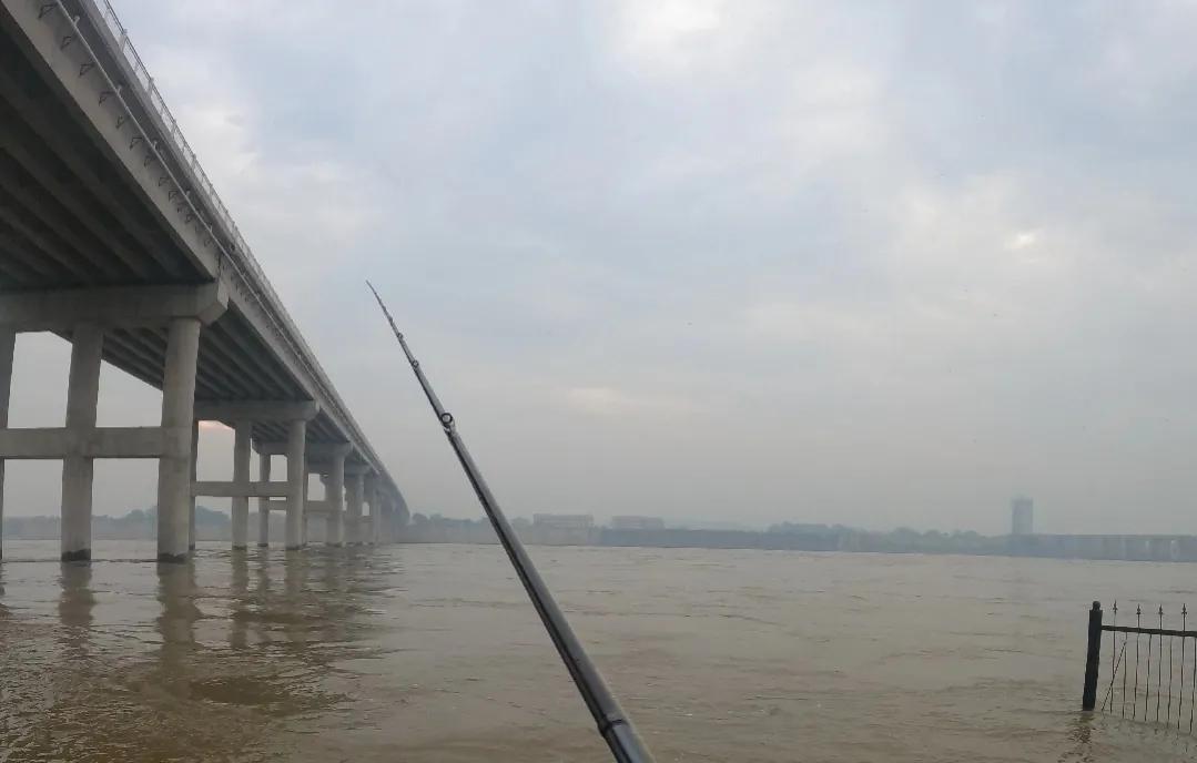 鳜鱼吃跟自己体型一样大的鱼,鳜鱼为什么不吃很小的鱼