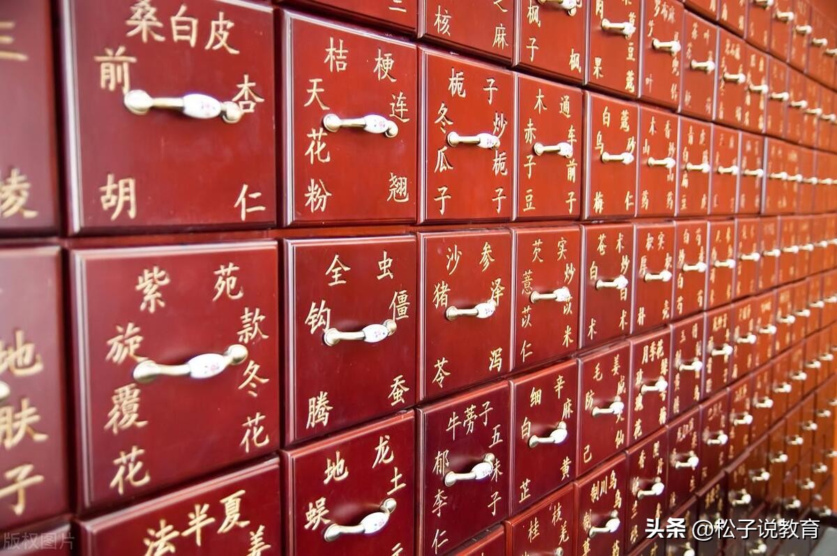 中国中医药大学排名前十名,中国前十中医药大学名单