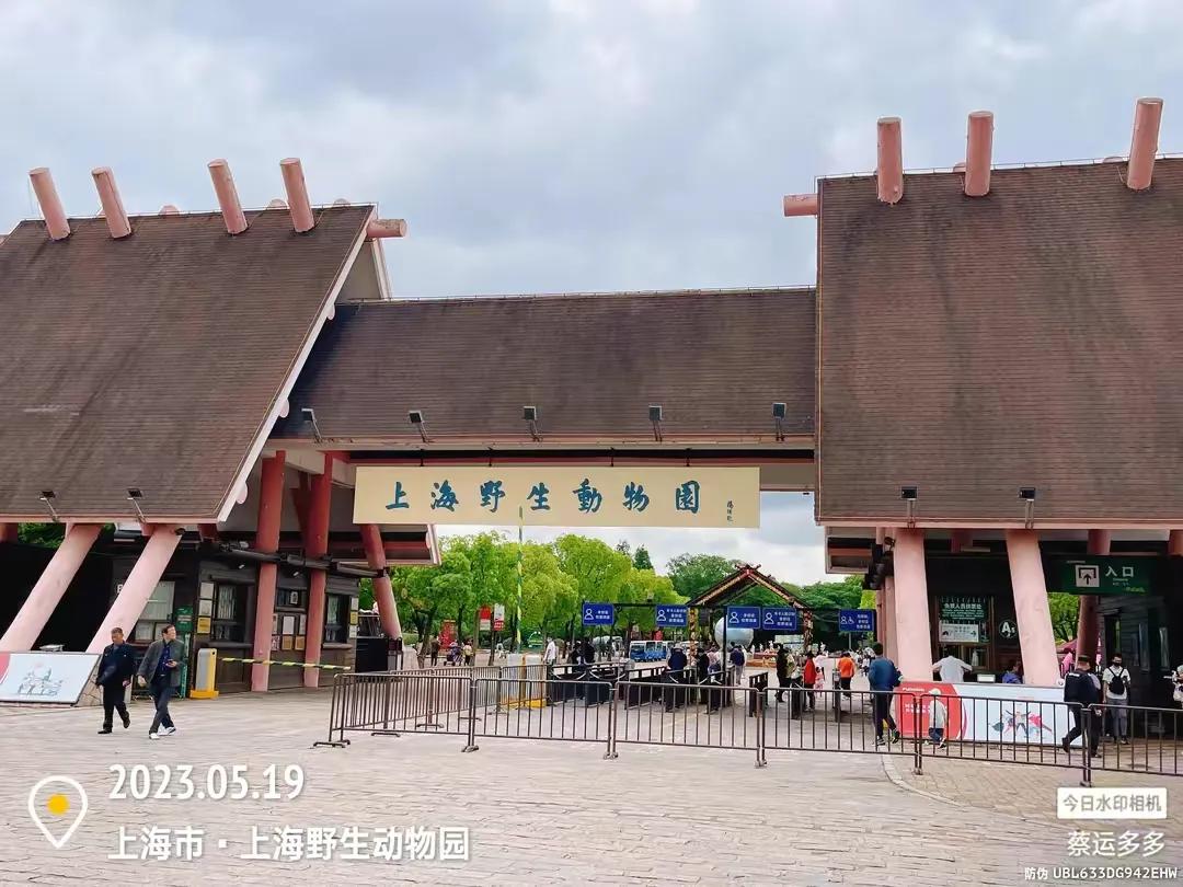 中国最大的野生动物园是哪个城市,中国最大野生动物园