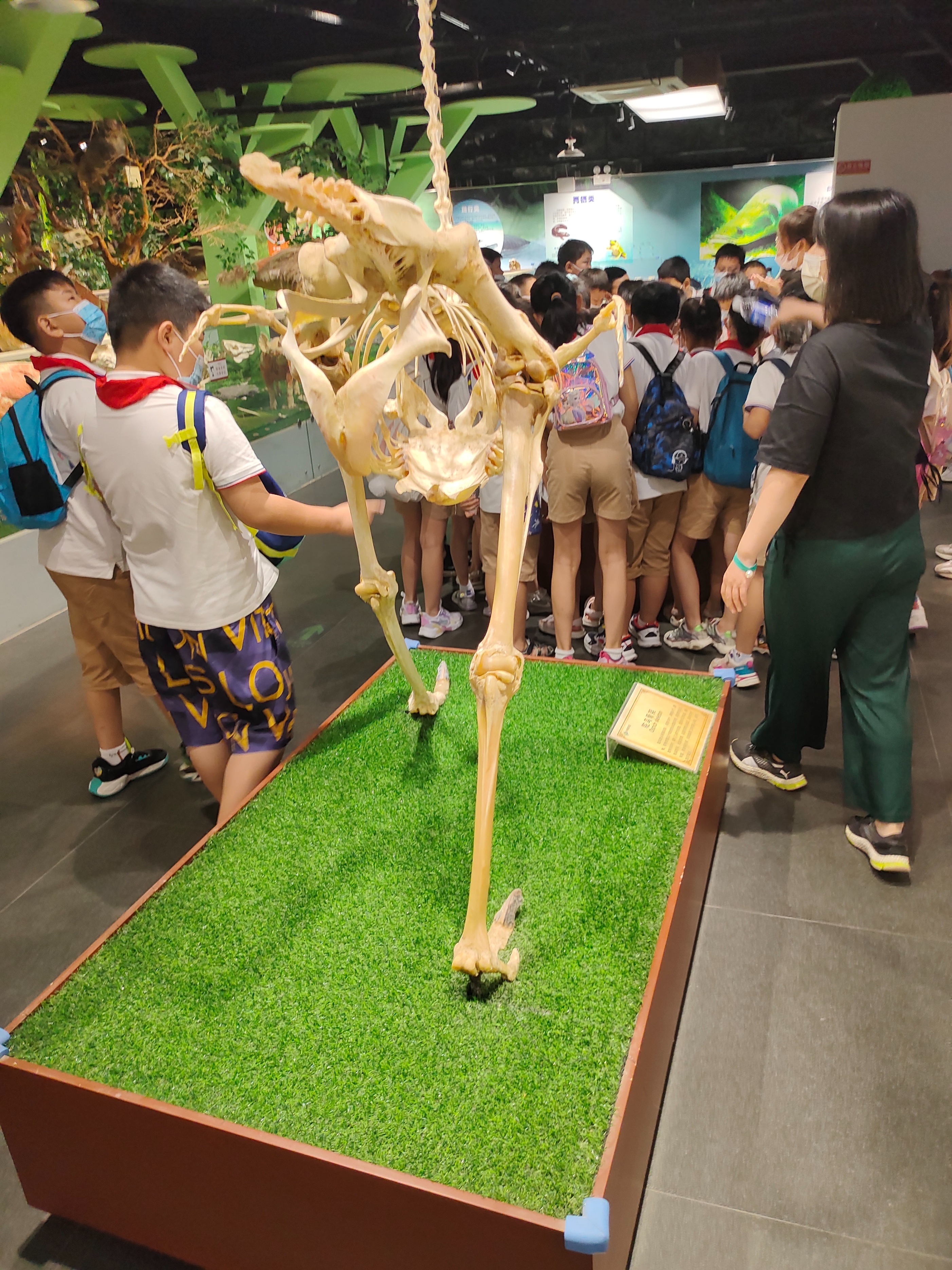 郑州带孩子一日游旅游攻略,郑州一日游旅游攻略带孩子