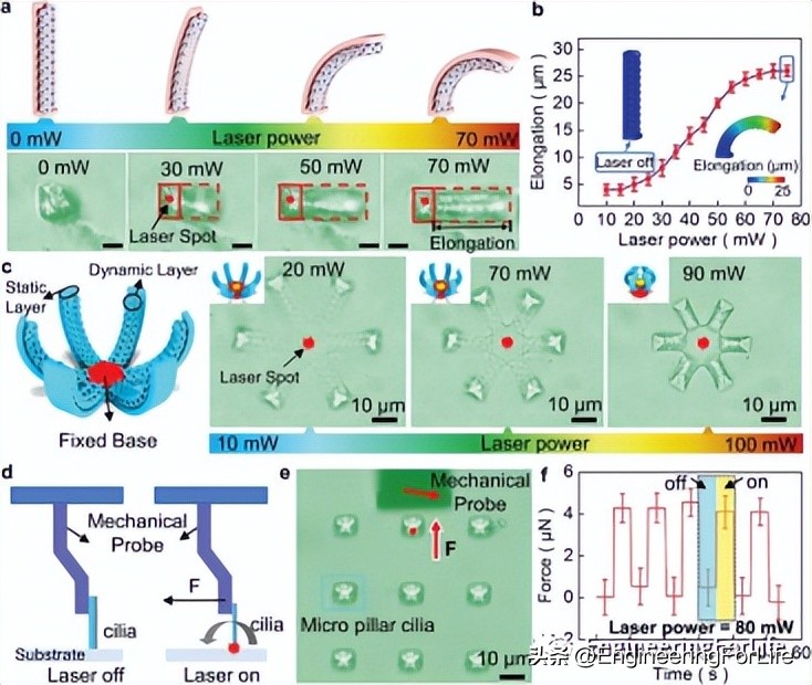 afm激光,afm机床是国产么