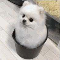 有没有结婚找不到伴娘的尴尬,快结婚了找不到伴娘怎么办啊