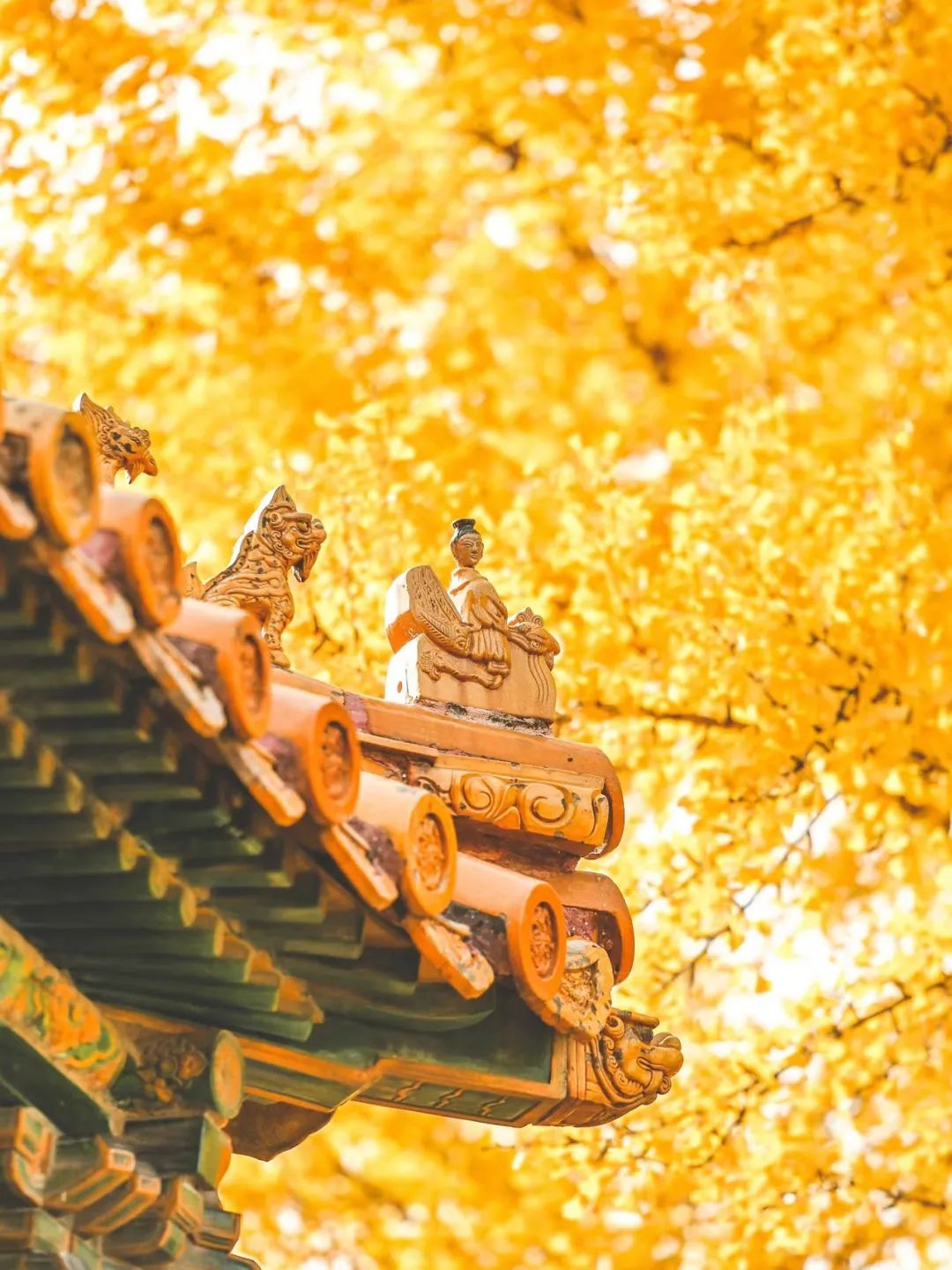 一入秋北京就变成了北平原文,一入秋北京就成了北平是谁说的