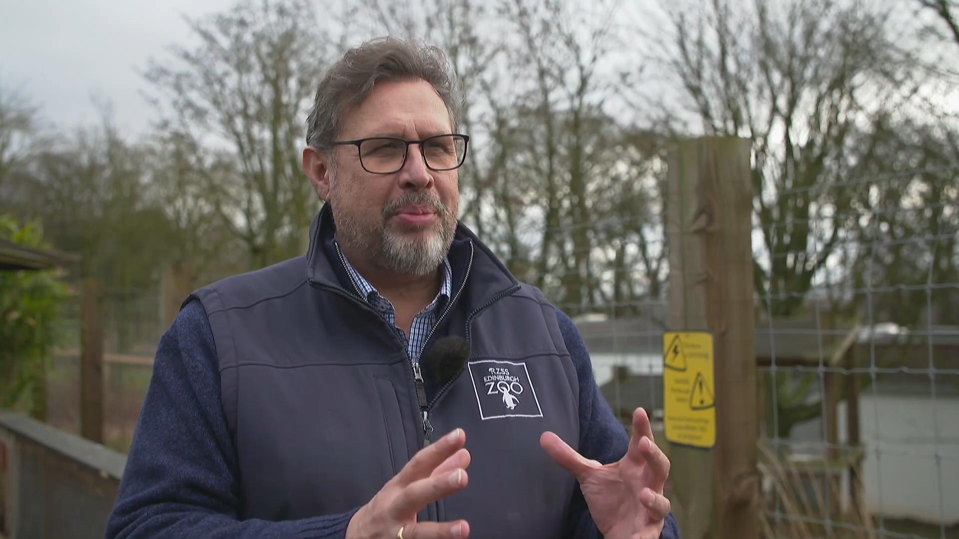 熊猫因为太能吃，1年花费400万，竟然被别国“退货”？