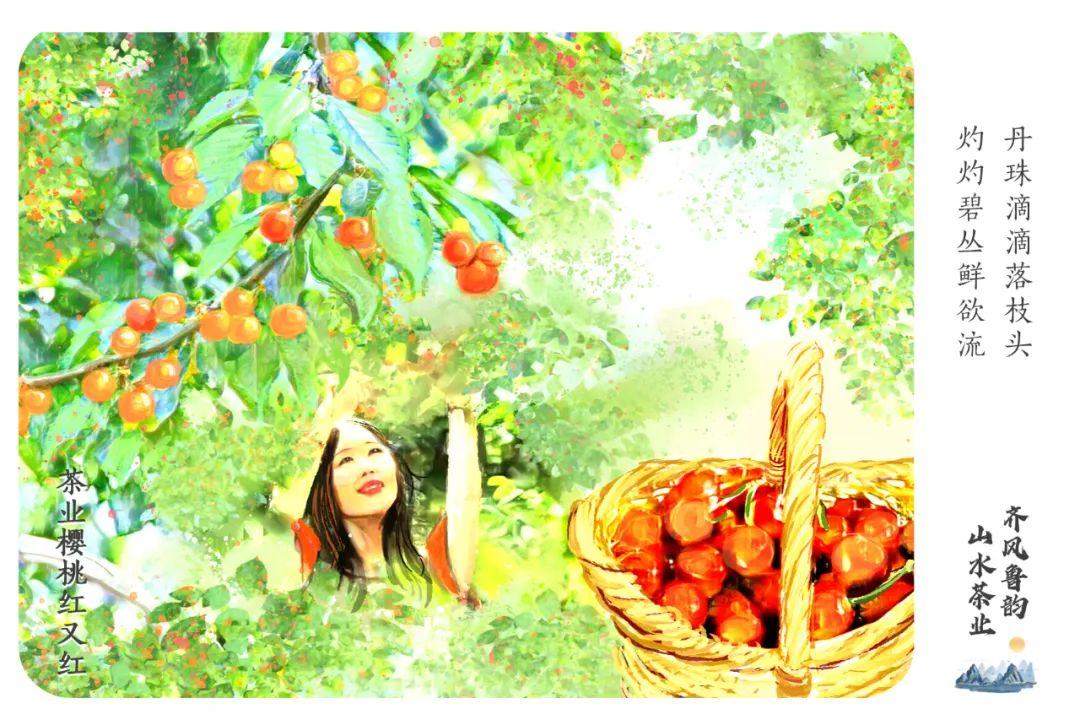 莱芜樱桃文化节,莱芜樱桃文化旅行节