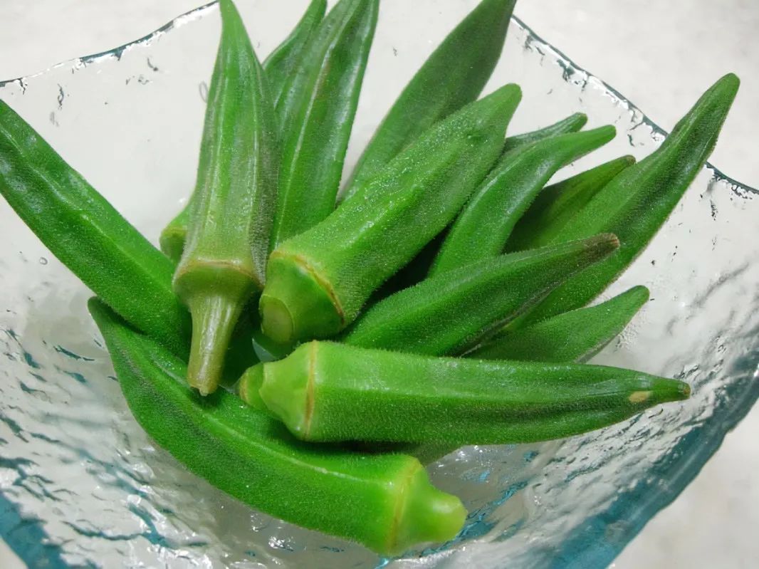 浙江人常吃的蔬菜有哪些,幼儿园常吃的蔬菜有哪些