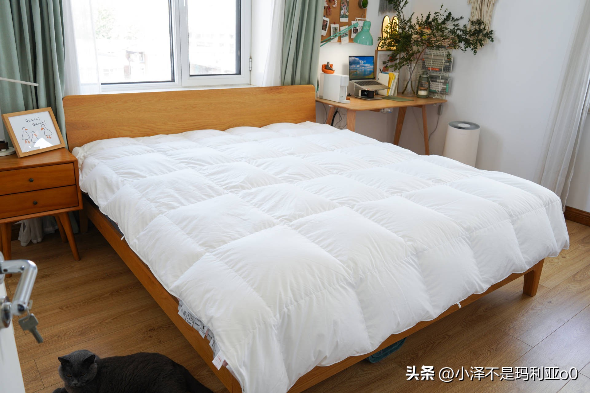 花1000多买被子,花1000买蚕丝被值不值