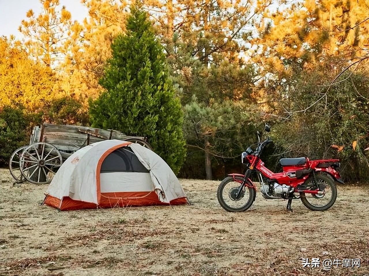 本田幼兽ct125即将引进中国,进口本田ct125猎人幼兽