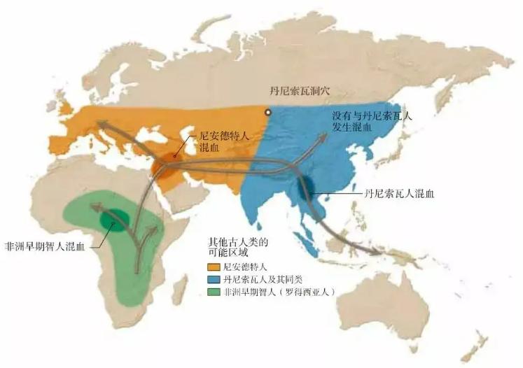 人类的祖先真的是亚当和夏娃吗,人类进化论的化石证据