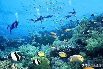 国内特色钓鱼地点排名最新,十大网红钓鱼地