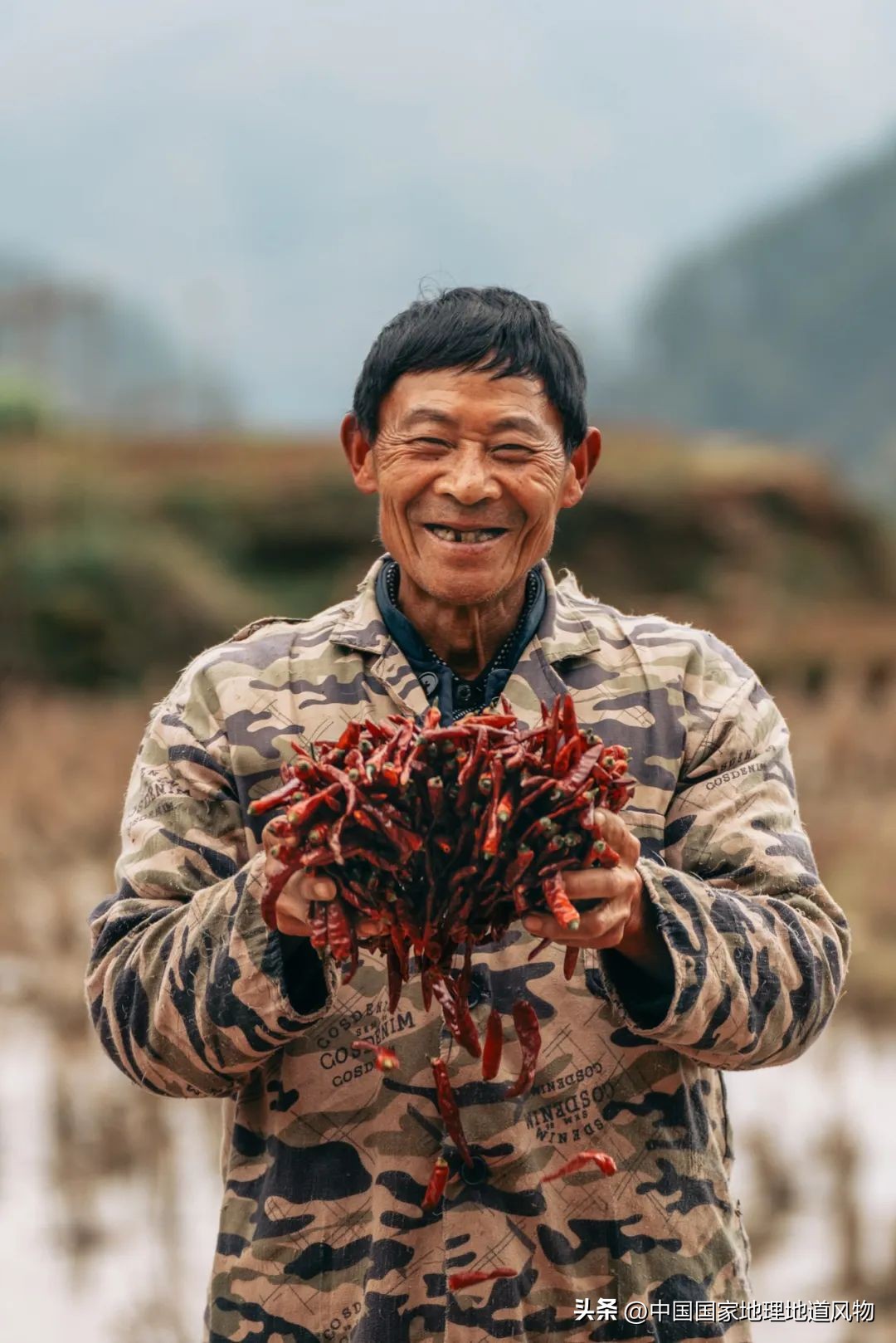 大山深处有哪些秘密,大山里的秘密是哪里的