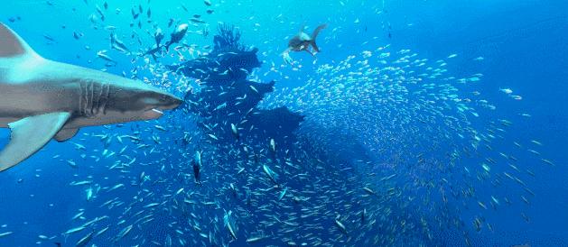 盘点2023最火端游,2023目前口碑最好的端游