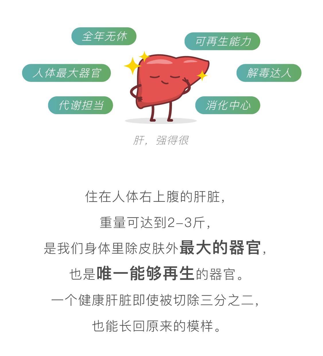 爆肝近一年全过程,我们的肝长什么样子