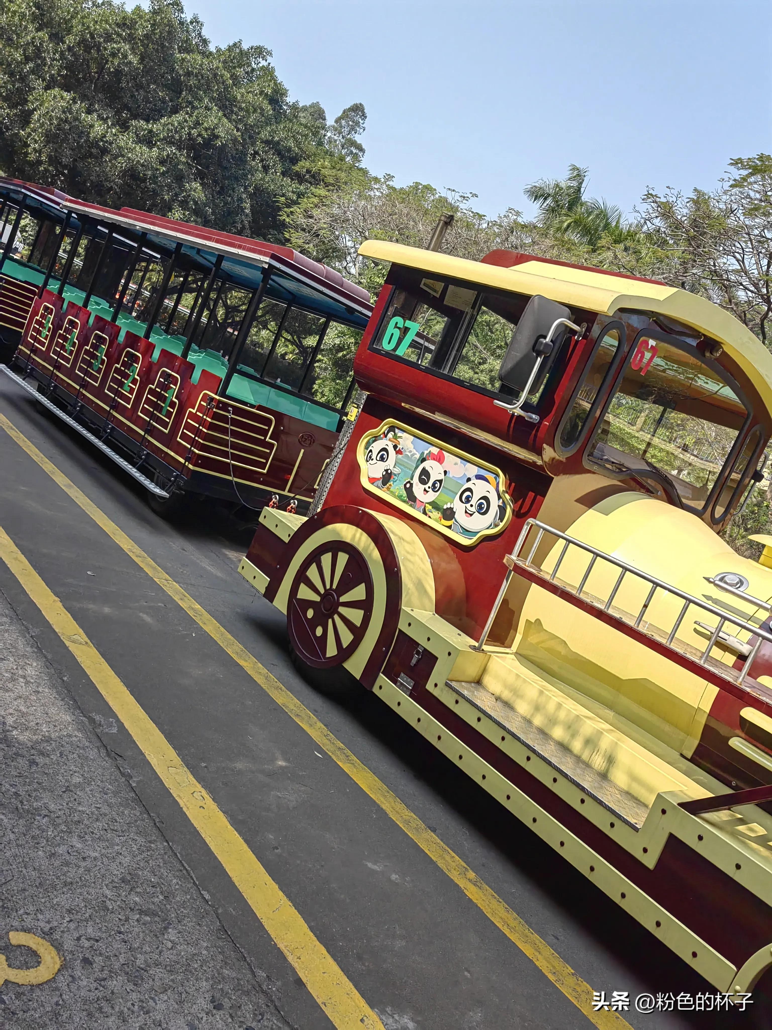 长隆野生动物园旅游攻略费用,长隆野生动物园开车进去攻略