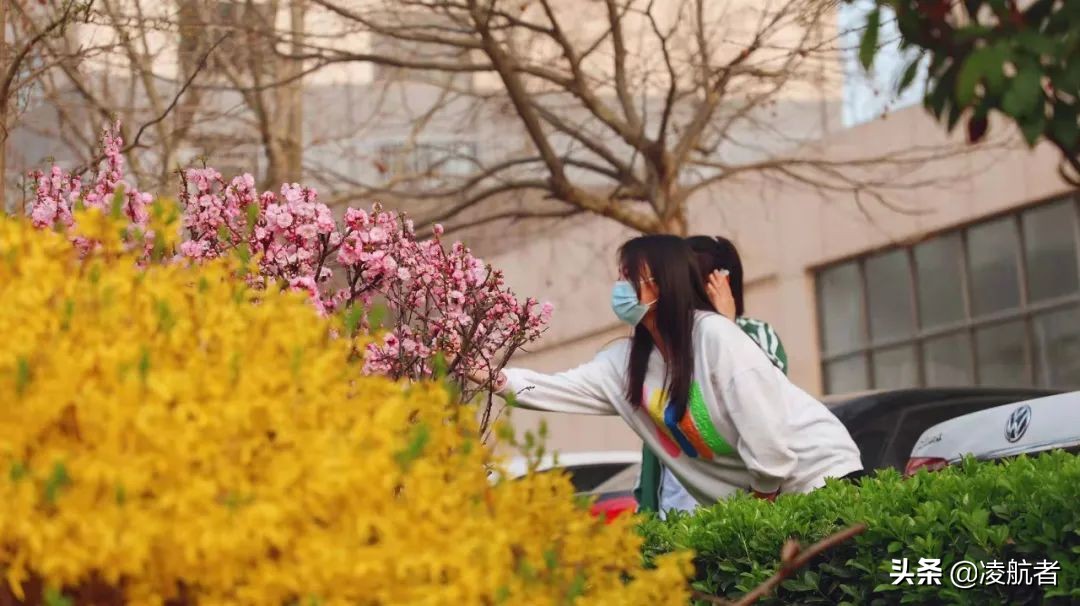 共赴春之约携手新征程,共赴春天之约携手砥砺前行