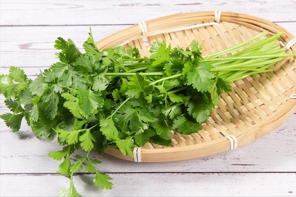 立春后少吃萝卜白菜多吃什么,立春吃什么韭菜豆芽