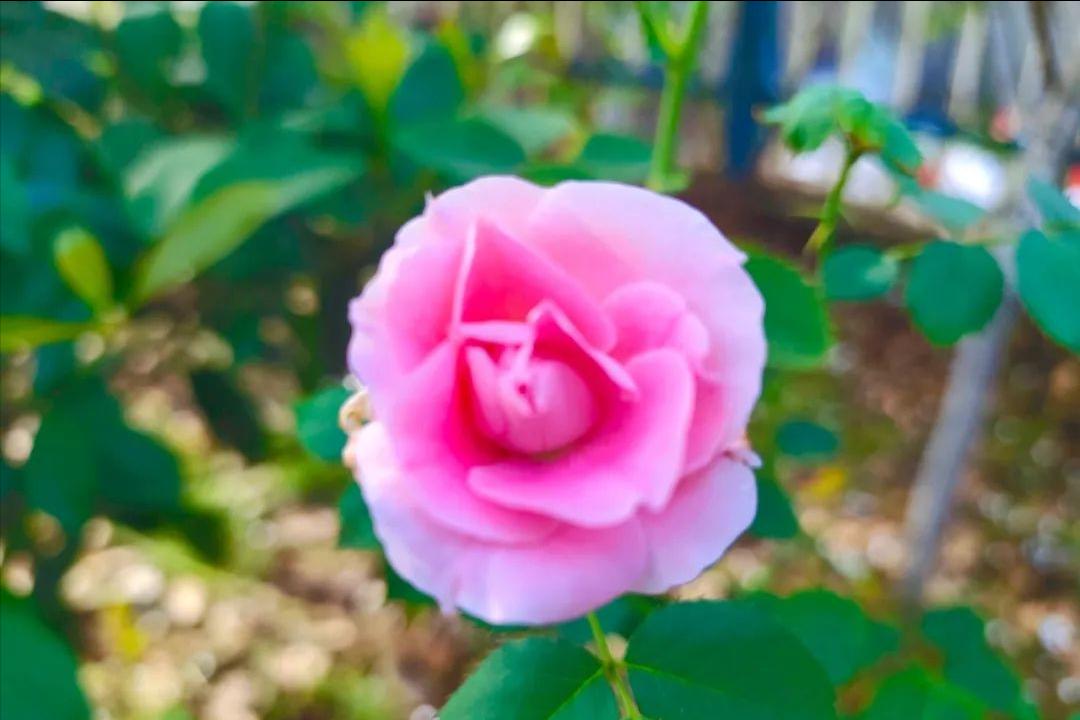 相亲见面两次可以发展到什么地步,同一个相亲对象介绍两次