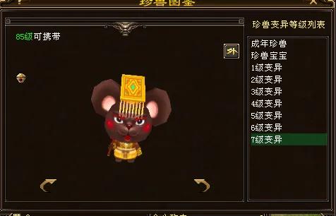 天龙八部手游国际服龙宝宝,天龙八部唐装鼠宝宝怎么获得