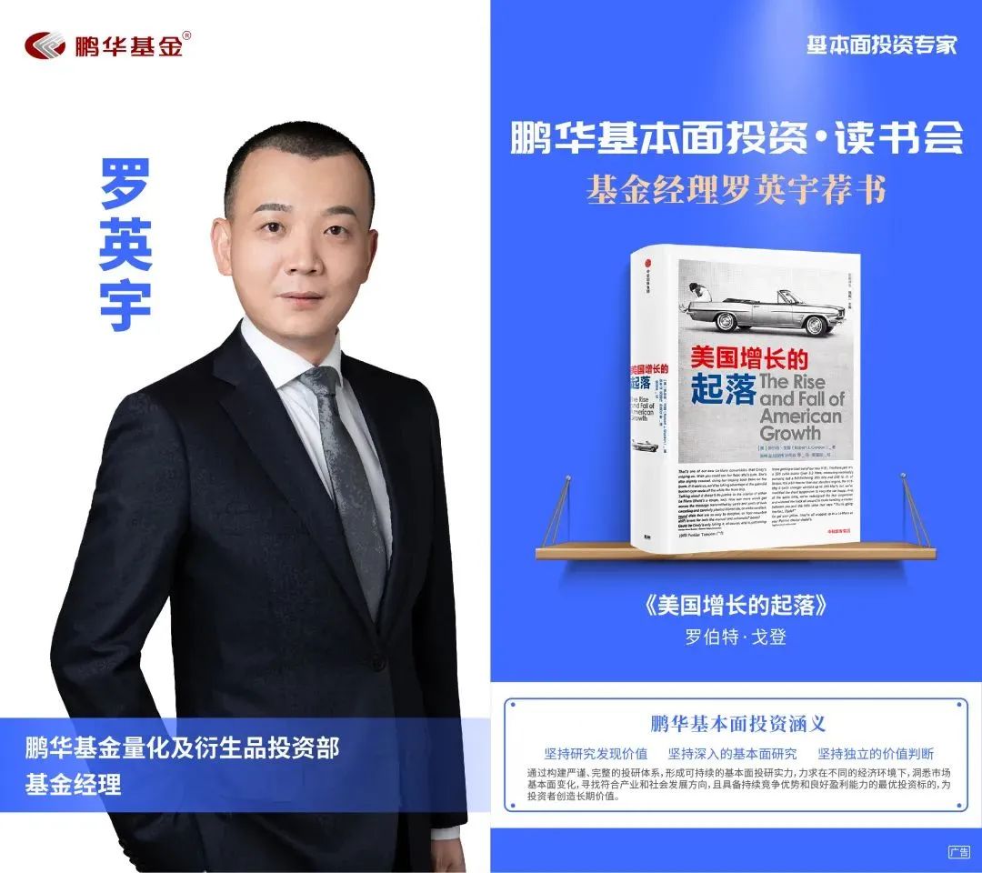 鹏华基金王宗合价值分析,鹏华基金王宗合深度分析