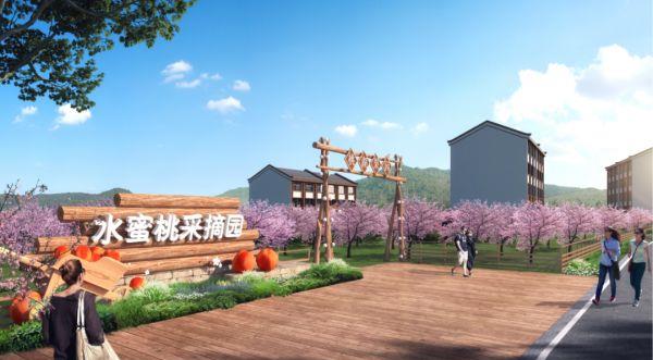 最具有发展潜力的项目,15个高质量项目