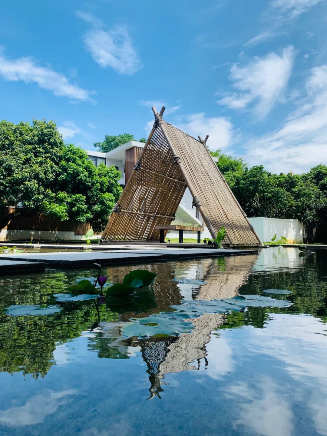 藏在广州竹林山野间的网红民宿,增城宛若故里稻田民宿