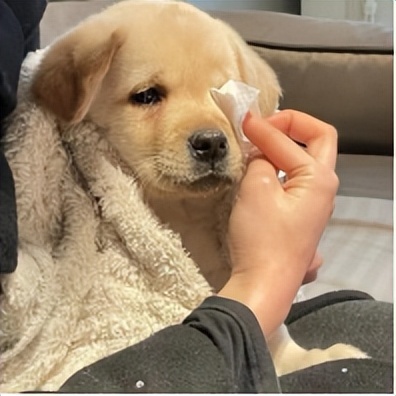 音乐与足球的奇妙碰撞,足球摇滚音乐